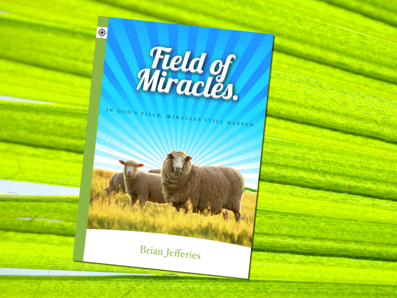 Self published book Field of Miracles