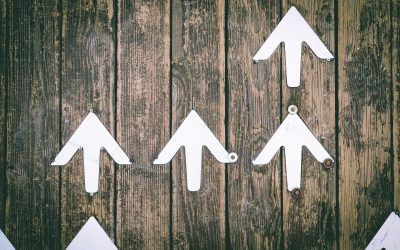 Success in self-publishing – it’s more complex than you think.
